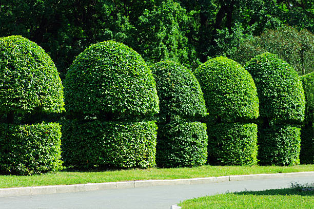 Skyddad data och handling