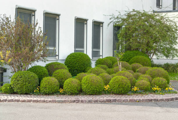 Arkivskåp med låst information